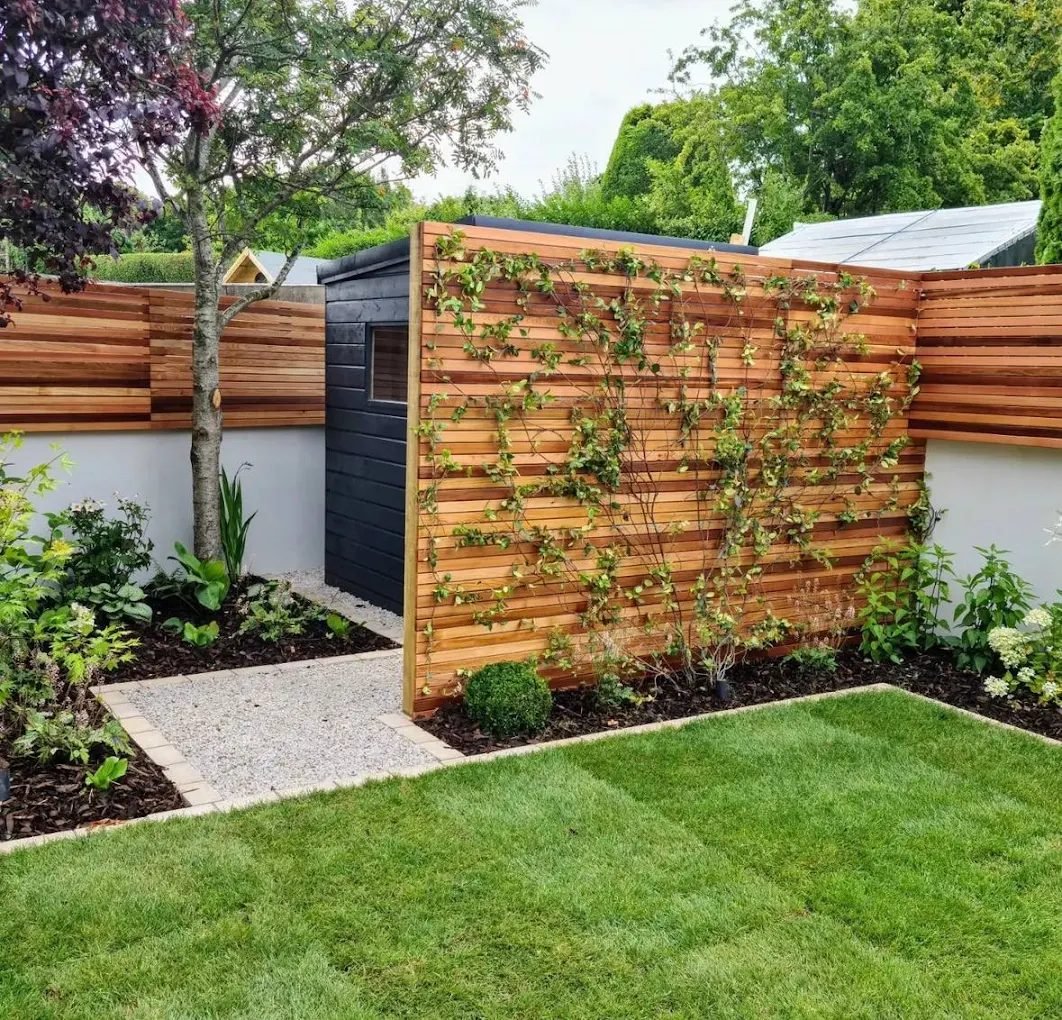 Cedar slatted screening with climbing plants and new lawn
